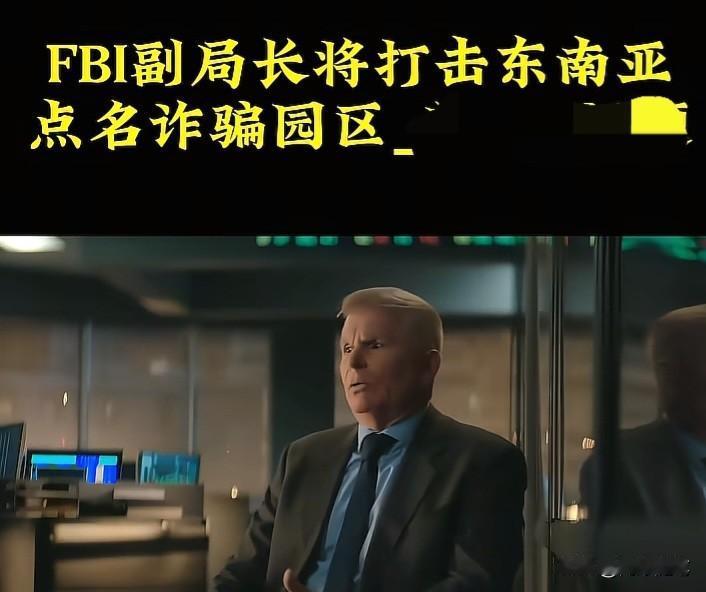 一段时间以来，电信网络诈骗集团却给不少中国同胞带来了实实在在的伤害。然而，在打击
