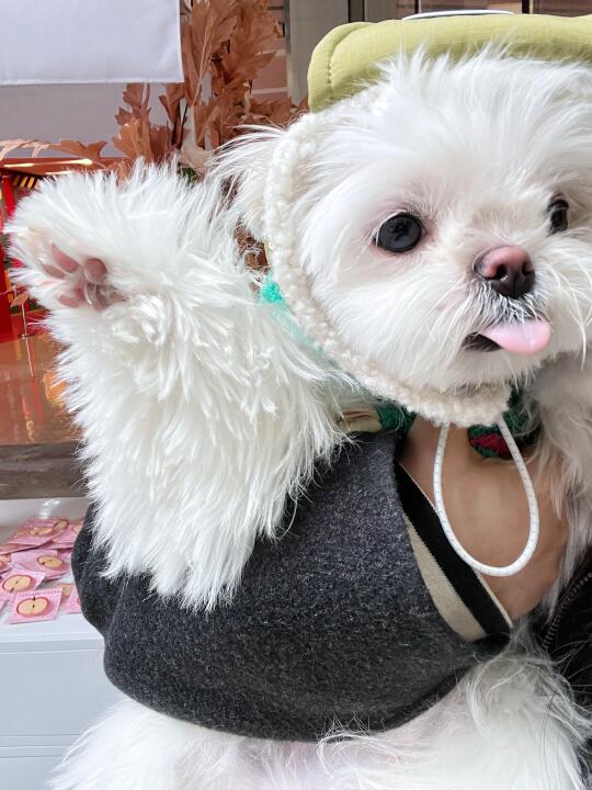 泥嚎，我喜欢你，是我的事！