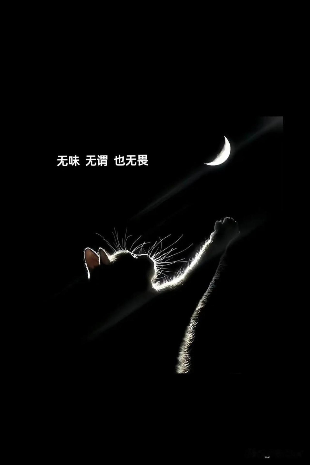 当然会。

一天不更，

对不起你给的那一分。