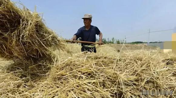 “底层人员就该被这样对待吗？”浙江衢州，一农民在自家地里烧秸秆，但没想到被执法人