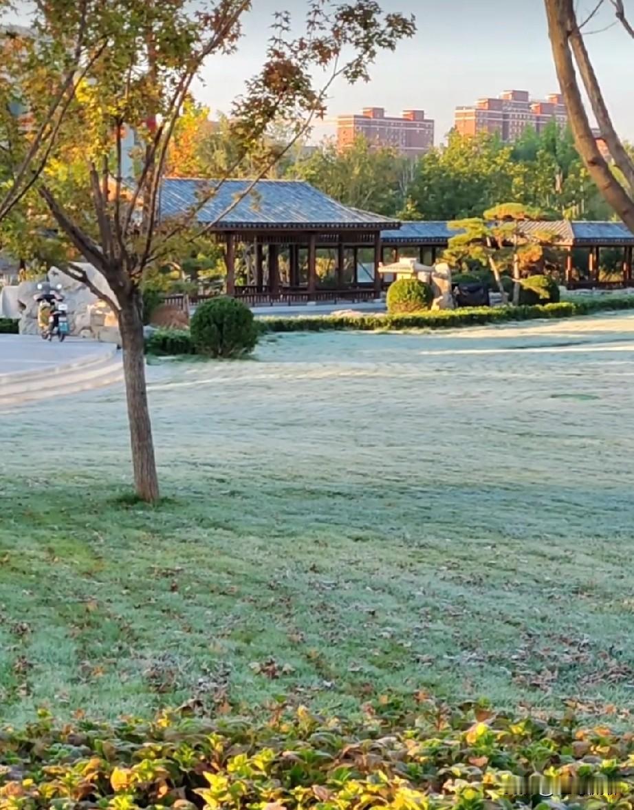 绿地苍苍，
白露为霜，
所谓伊人，
秋光一方