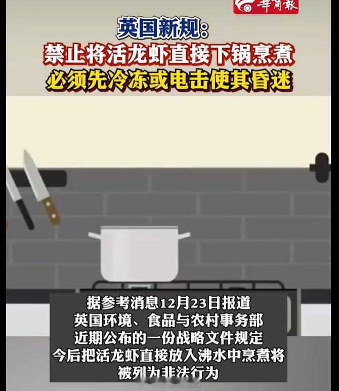 看似人道，但却把善良给了啥也不懂的龙虾，而将恶去给了人。英国