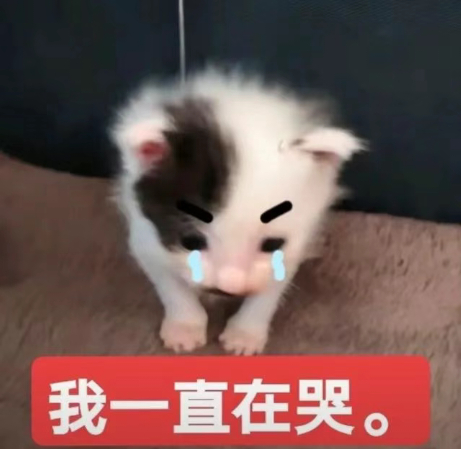 这个视角好那个 
