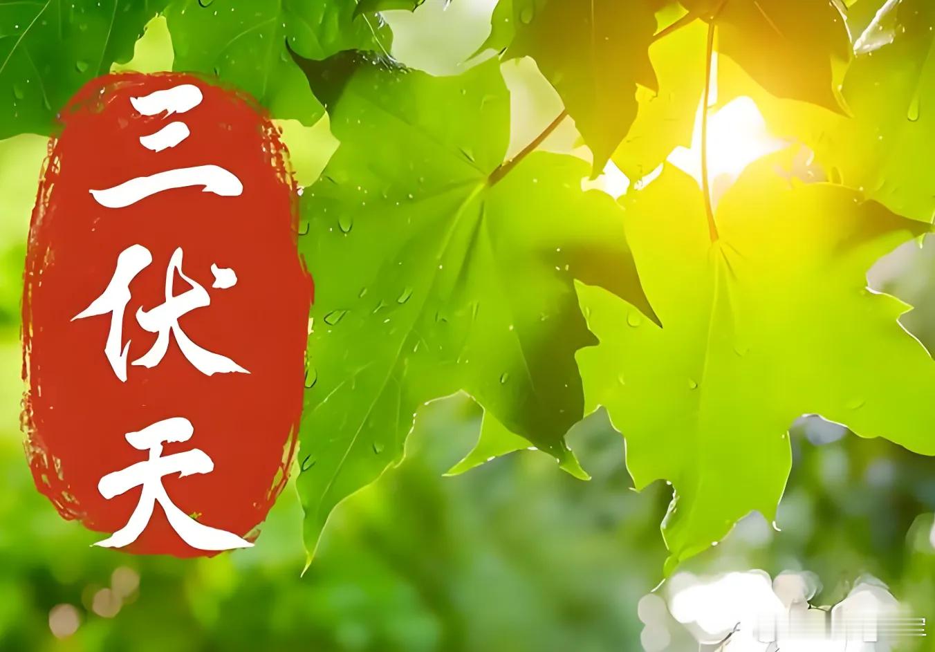 三伏给娃清补一年不受苦几款让孩子少生病的“汤方”，健脾+补肺+清热+生津+利湿，