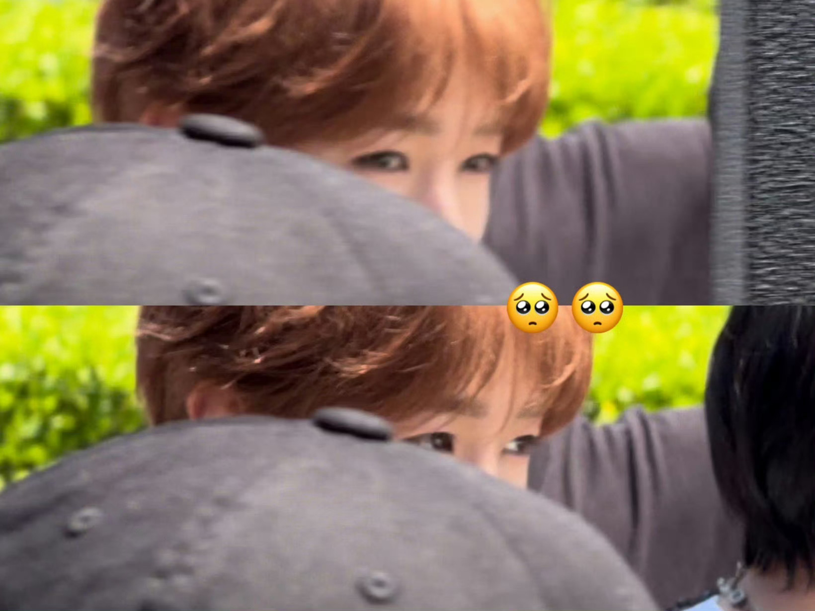 好喜欢狗狗眼🥺 
