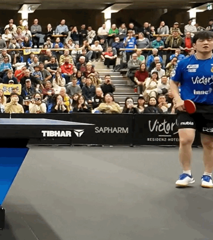 樊振东vs菲卢斯 龇牙咧嘴 向你走来🤬 