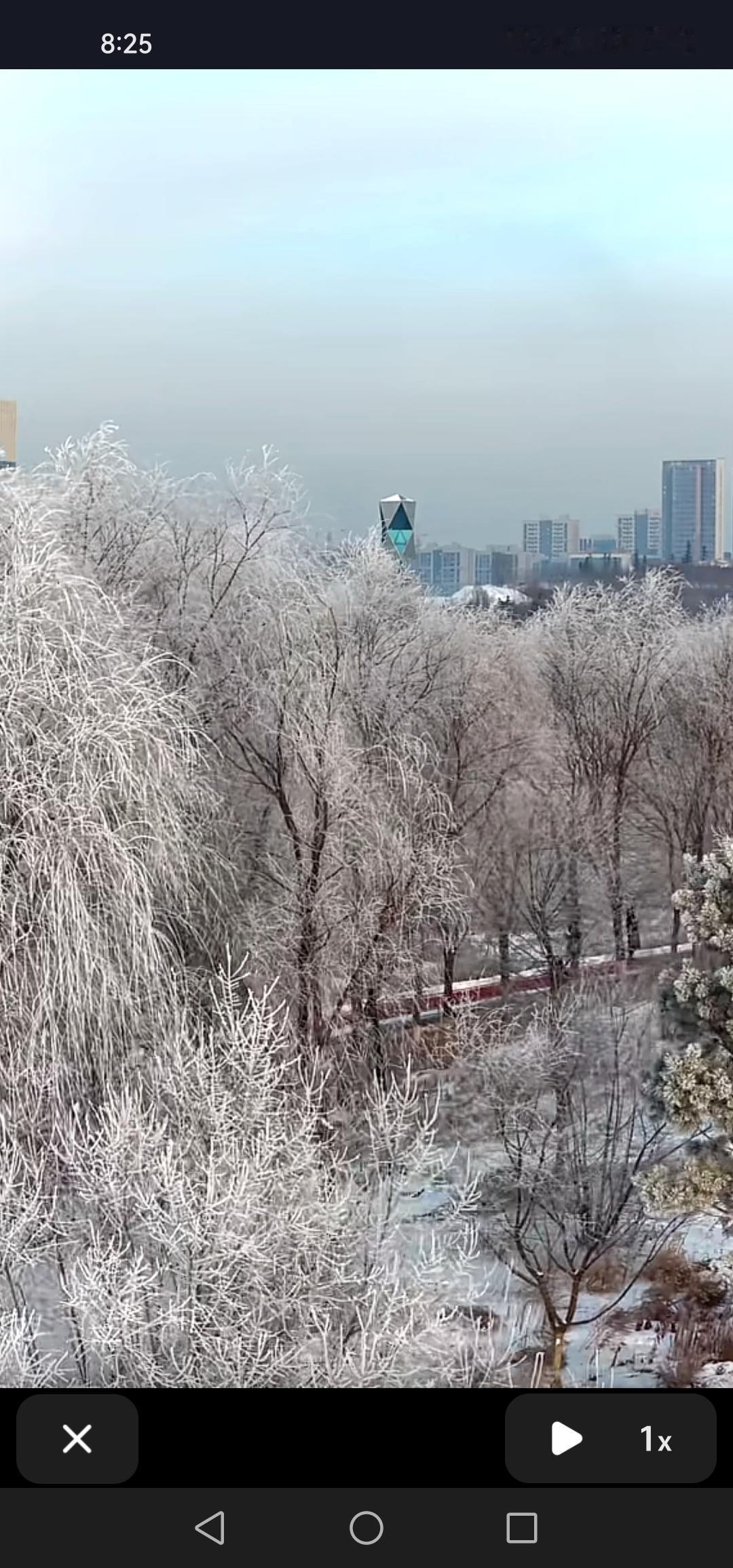 长春市伊通河畔南高速路口竟也出现了雾凇，实在太美了！

近日，长春市伊通河南高速