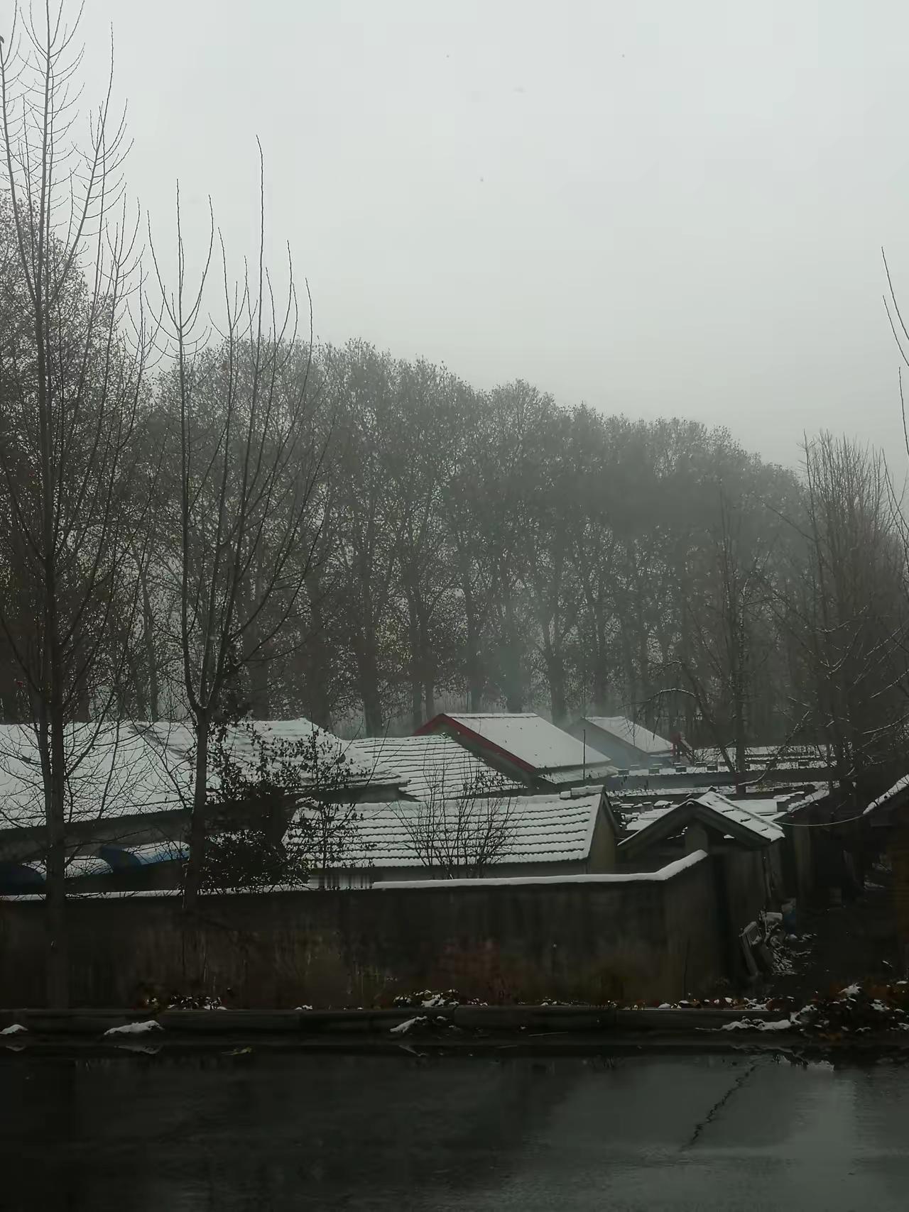 人为什么选择自杀
​小区两口子一块喝药，女的才51岁，男的53岁，女的当场死亡，