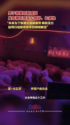 绝了！
        广西大哥给猪开“专属演唱会”，3000块改造成KTV猪舍