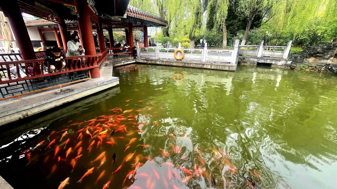《六一寄语》

时维六月朔日，又逢六一。

世人皆言“不论几岁，快乐万岁”。转瞬
