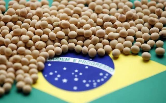 万一阿根廷，美国，巴西三国大豆全部涨价，中国怎么办？如果阿根廷、美国、巴西三大主