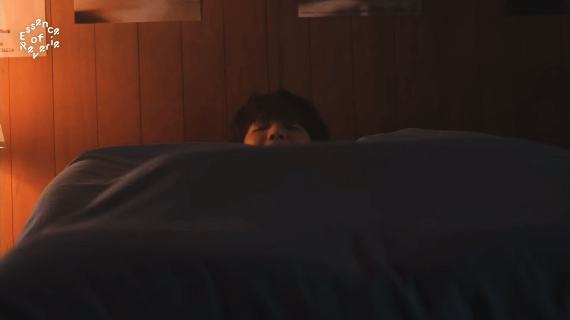 晚安˘ω˘ 