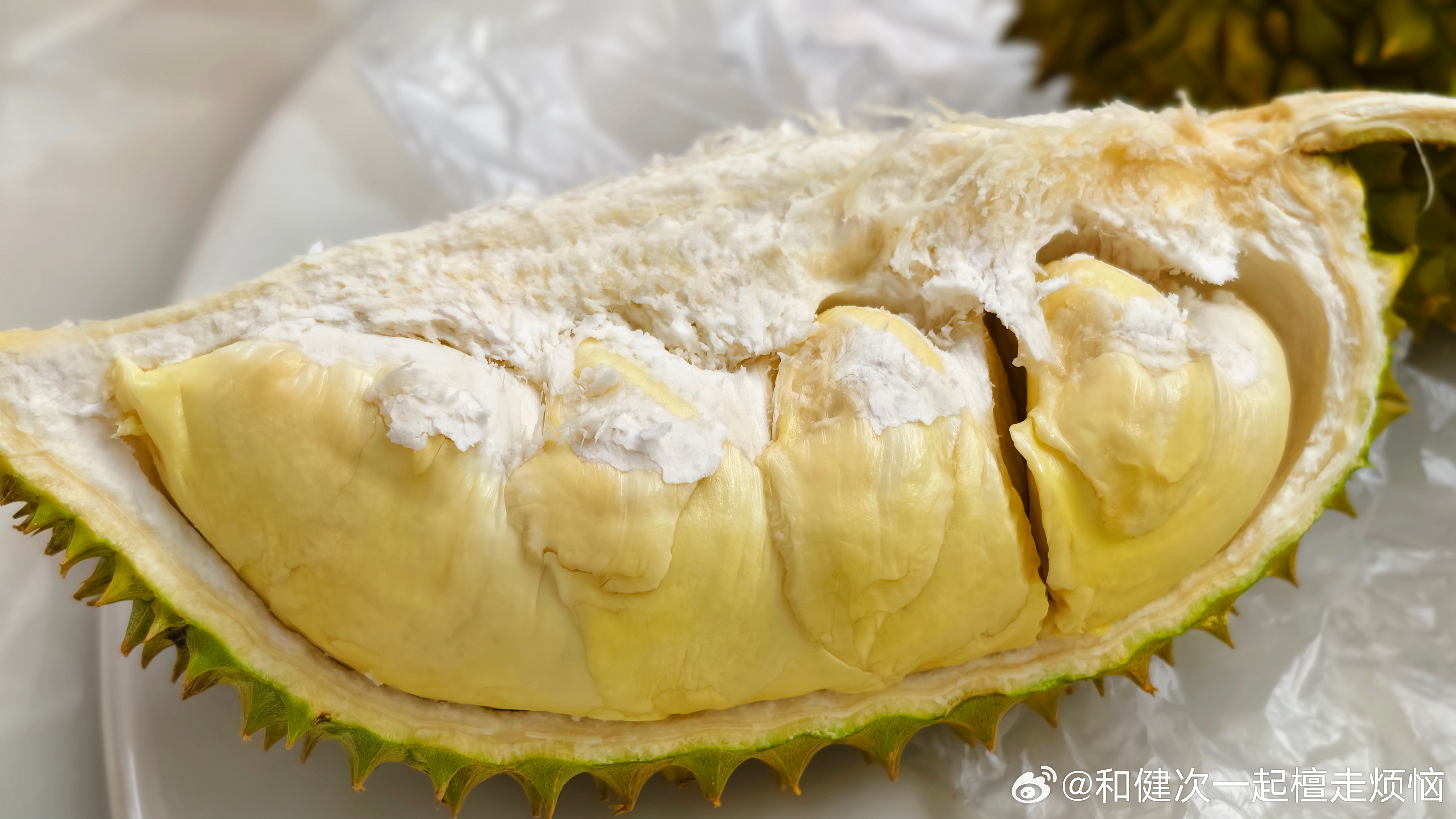我哥送我的榴莲都是来报恩的