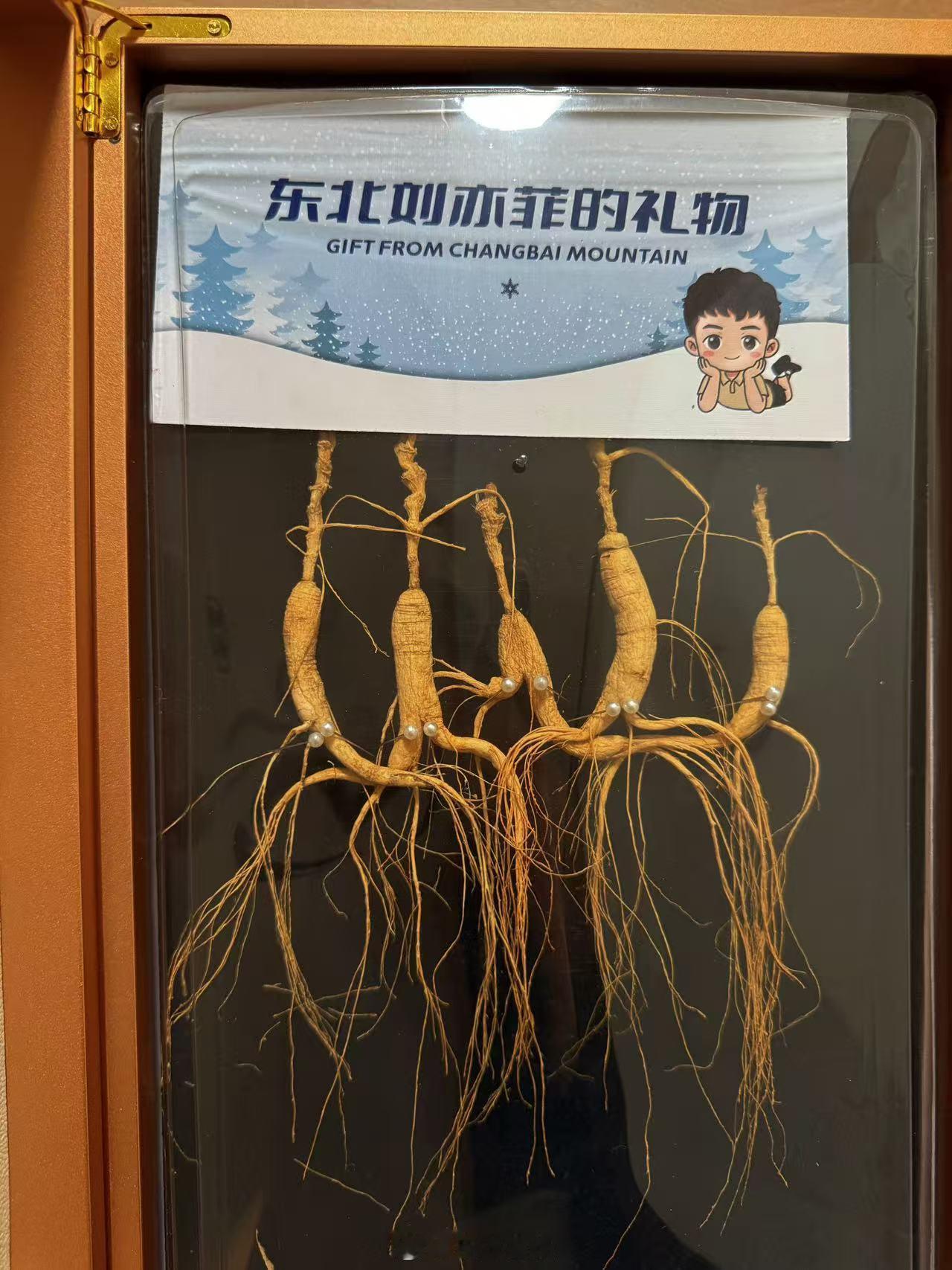 和东北刘亦菲交朋友，享尽世间所有和东北刘亦菲交朋友，山珍野味尽有