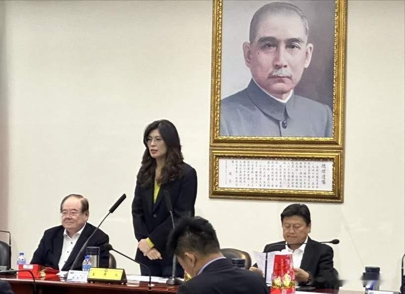 国民党主席郑丽文视美国为“恩人”，岛内沉默，但大陆网民不买账，所谓一石激起千层浪