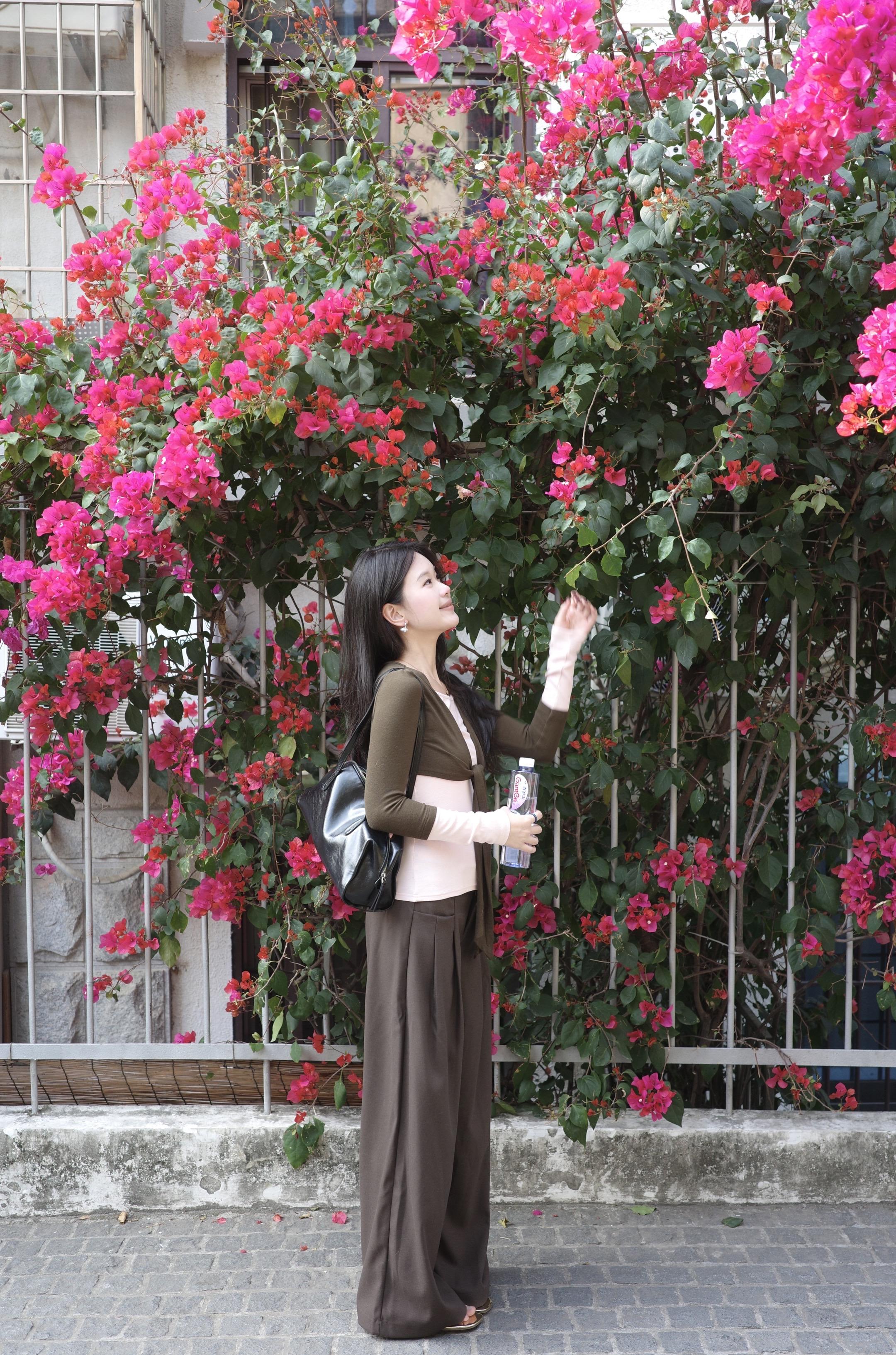 原来春天这么美 幸好没有腐烂在冬天