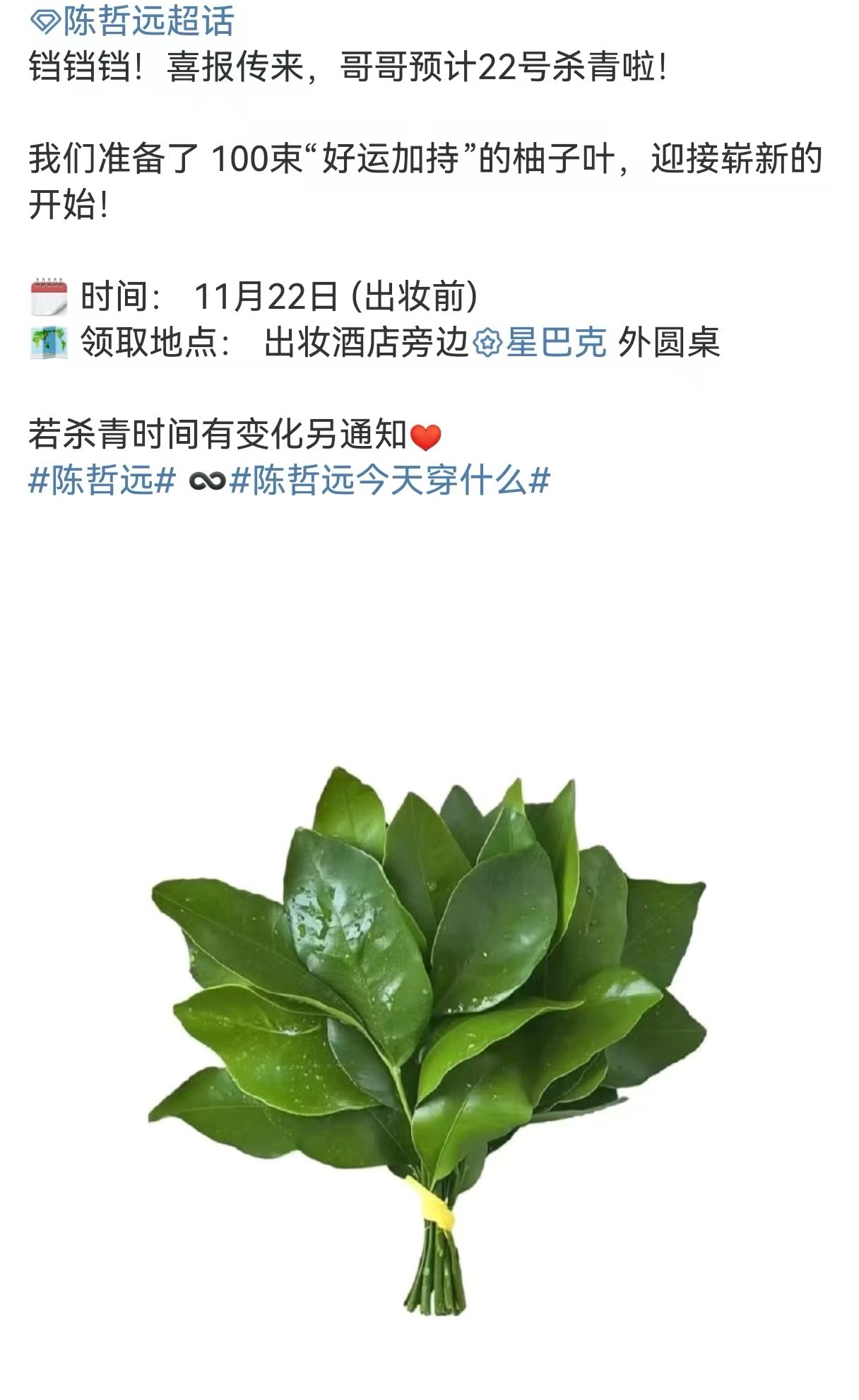 要被陈哲远粉丝笑晕了！杀青准备柚子叶去晦气