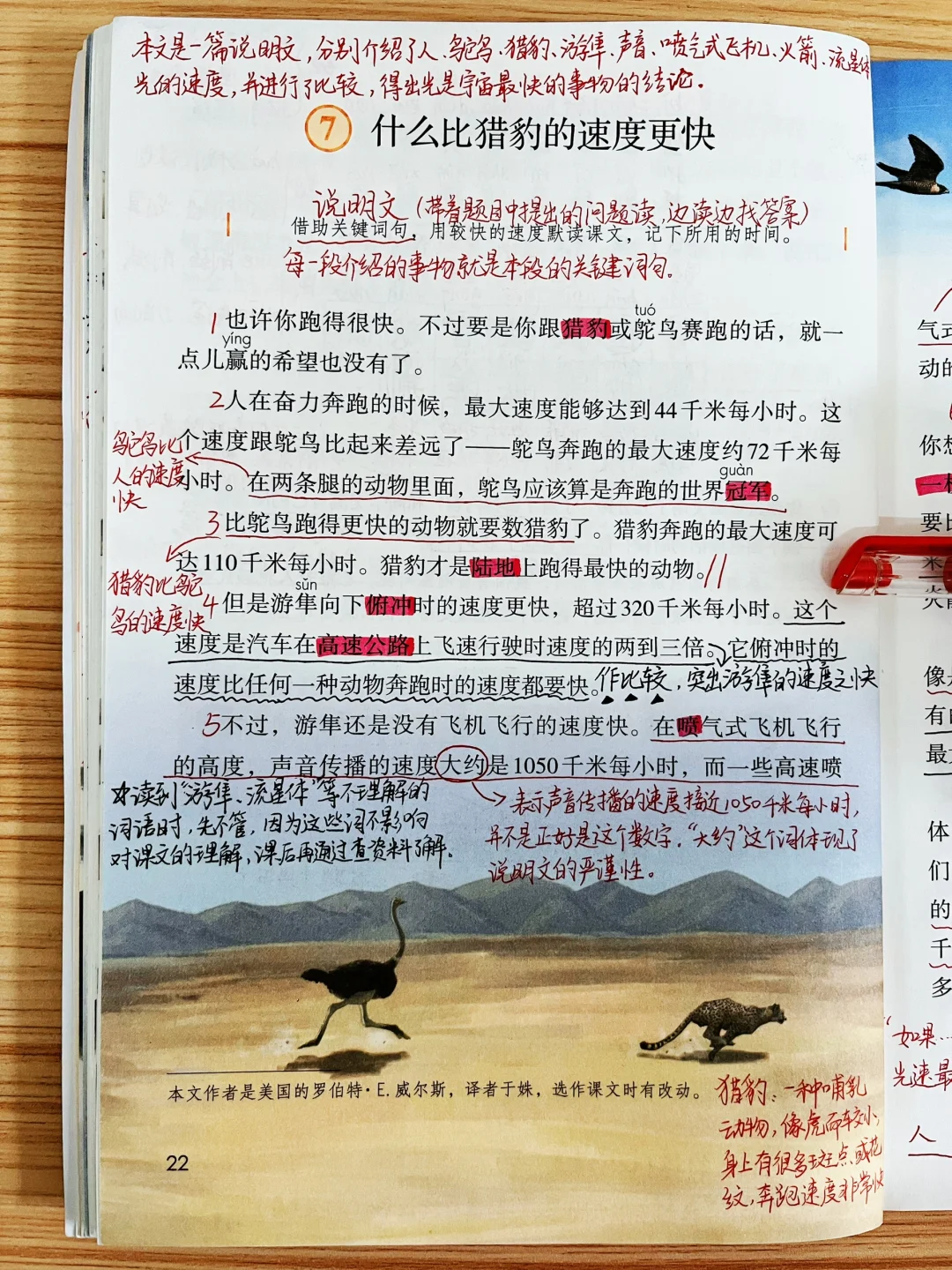五年级《什么比猎 豹的速度更快》课堂笔记