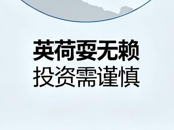 高收益高风险，英荷耍无赖，投资需谨慎

        中国加大对欧洲投资这事，