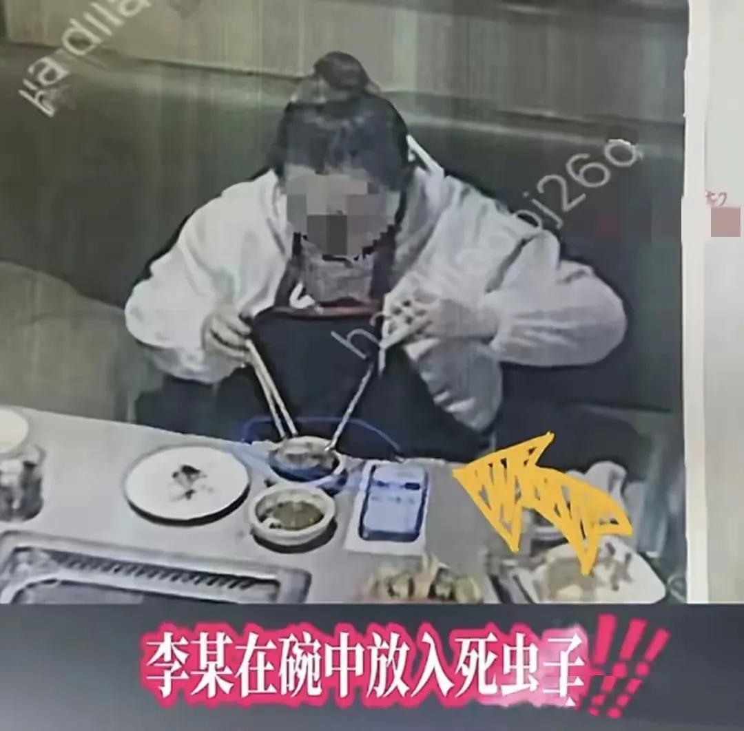 在繁华的都市中，海底捞以其优质的服务和美味的火锅备受欢迎。然而，却有女子李某动起