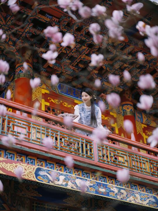 玉兰花开｜听说今年三圣寺不能上二楼了～