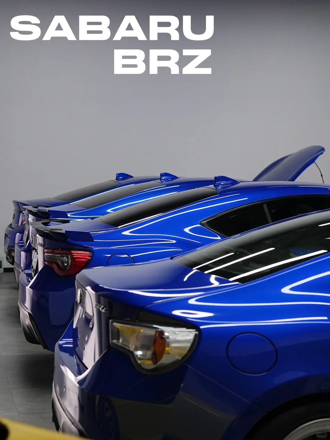 侬好 brz了解一下？