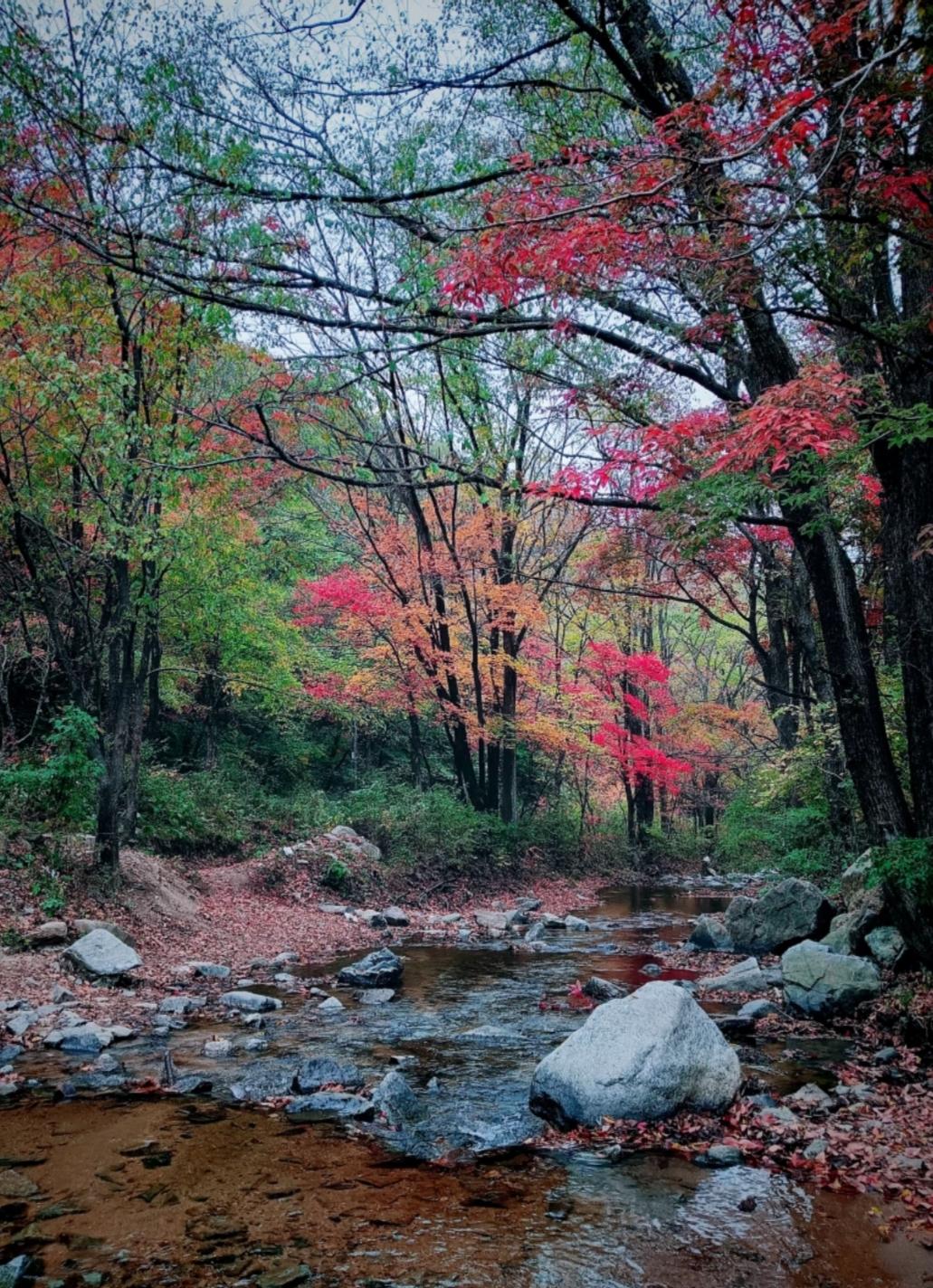 现在好多女的都说自己在陪聊，一天就可以赚到两三百！
   所以我真的很好奇，到底