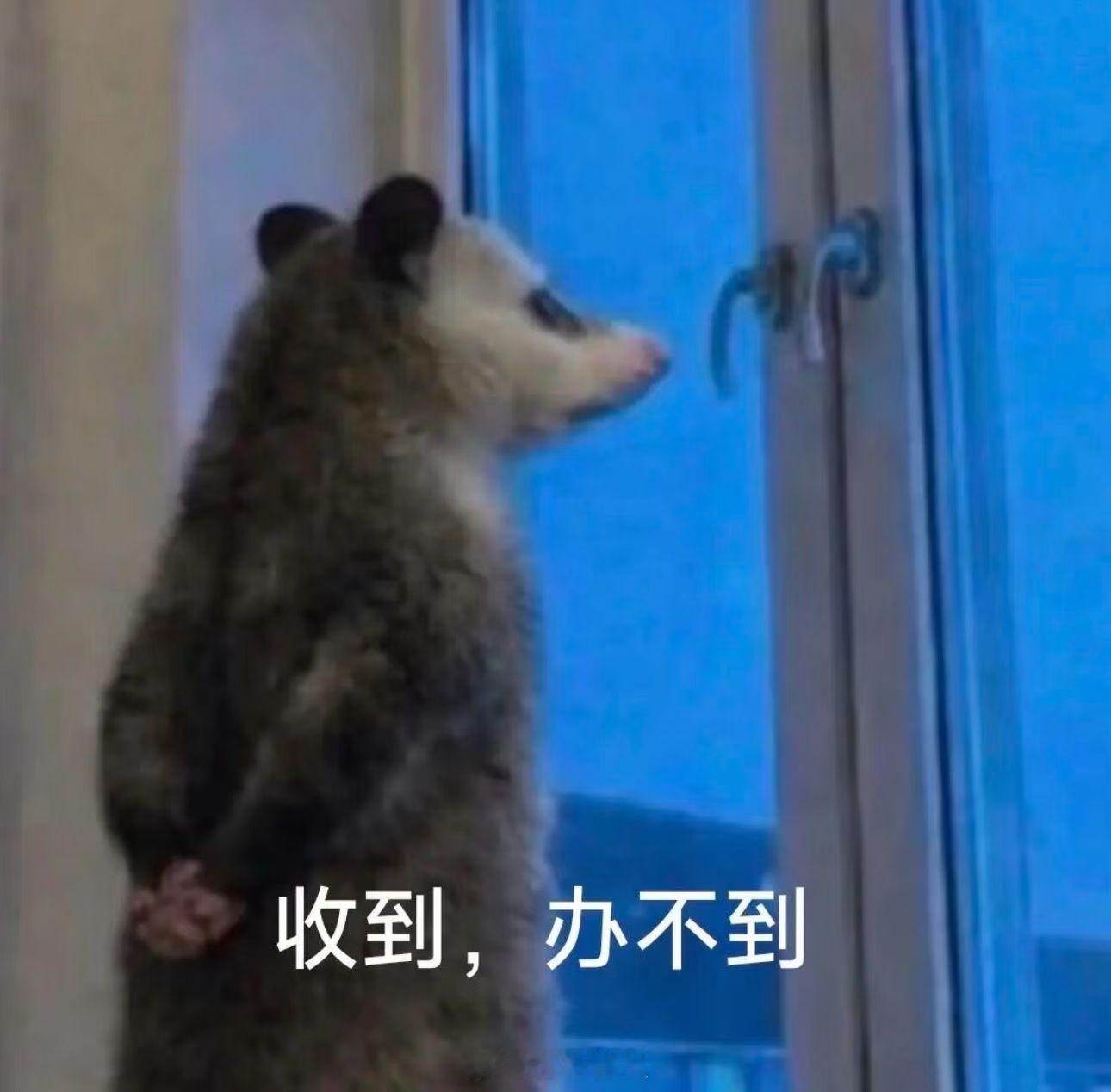 以后别人输了也别再那么苛责就行樊振东0比3大勒布伦