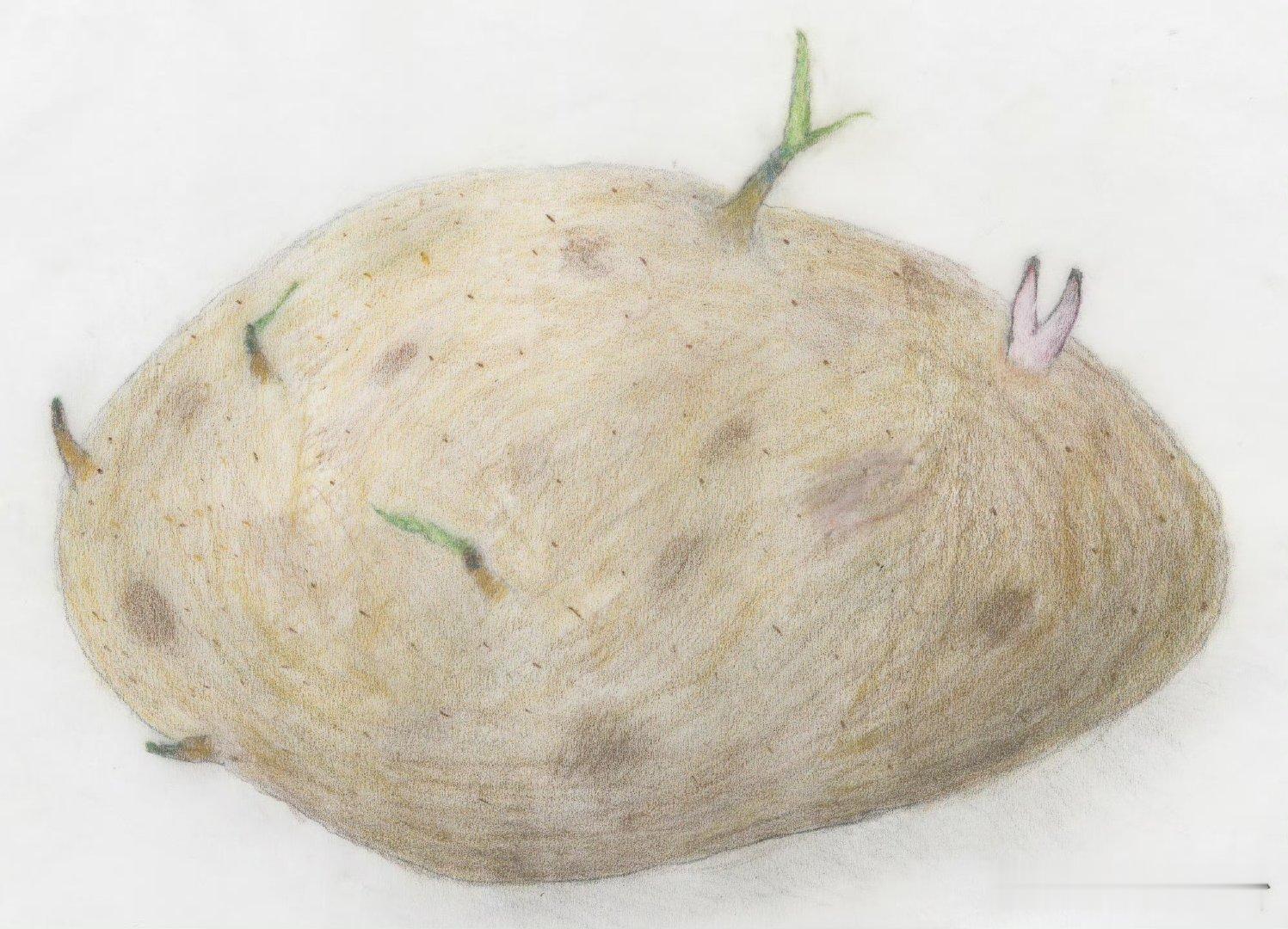 易烊千玺六幅画作易烊千玺六幅画作全貌“接力画画”活动发起人的六幅画作全貌，这份跨