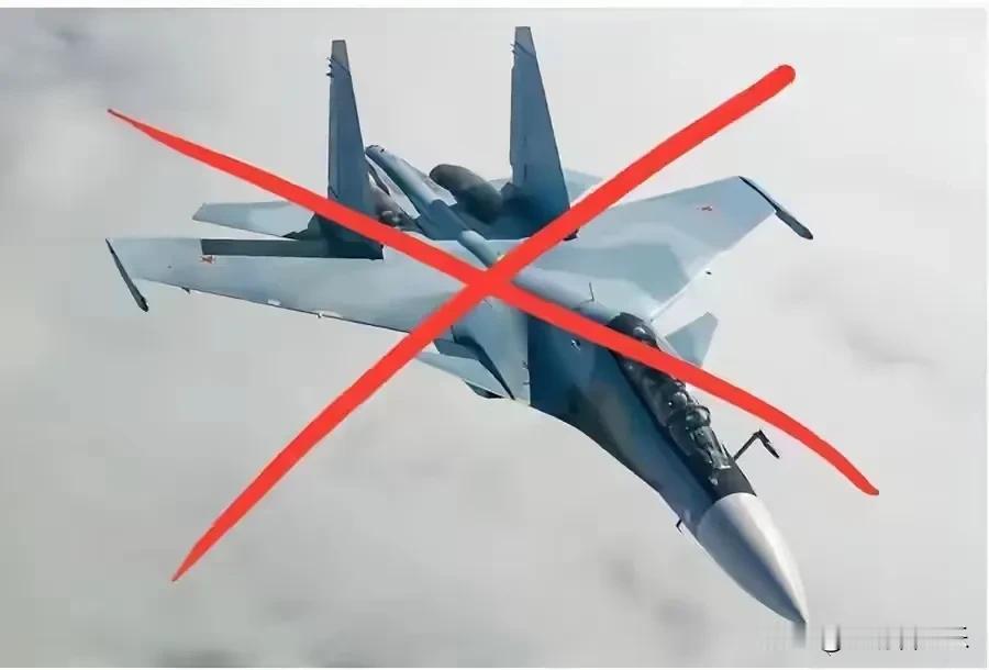 又一架飞机掉了。 
  15日，据乌克兰军方情报部门信息。俄军的 一架Su-30