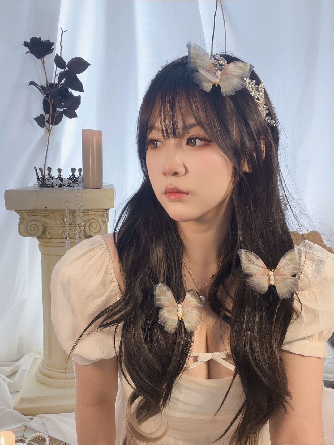 蝴蝶梦 🦋