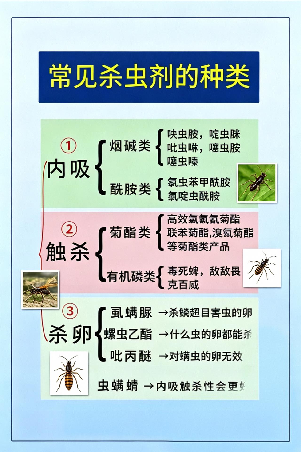 农业种植 虫害防治 杀虫剂 农资经销