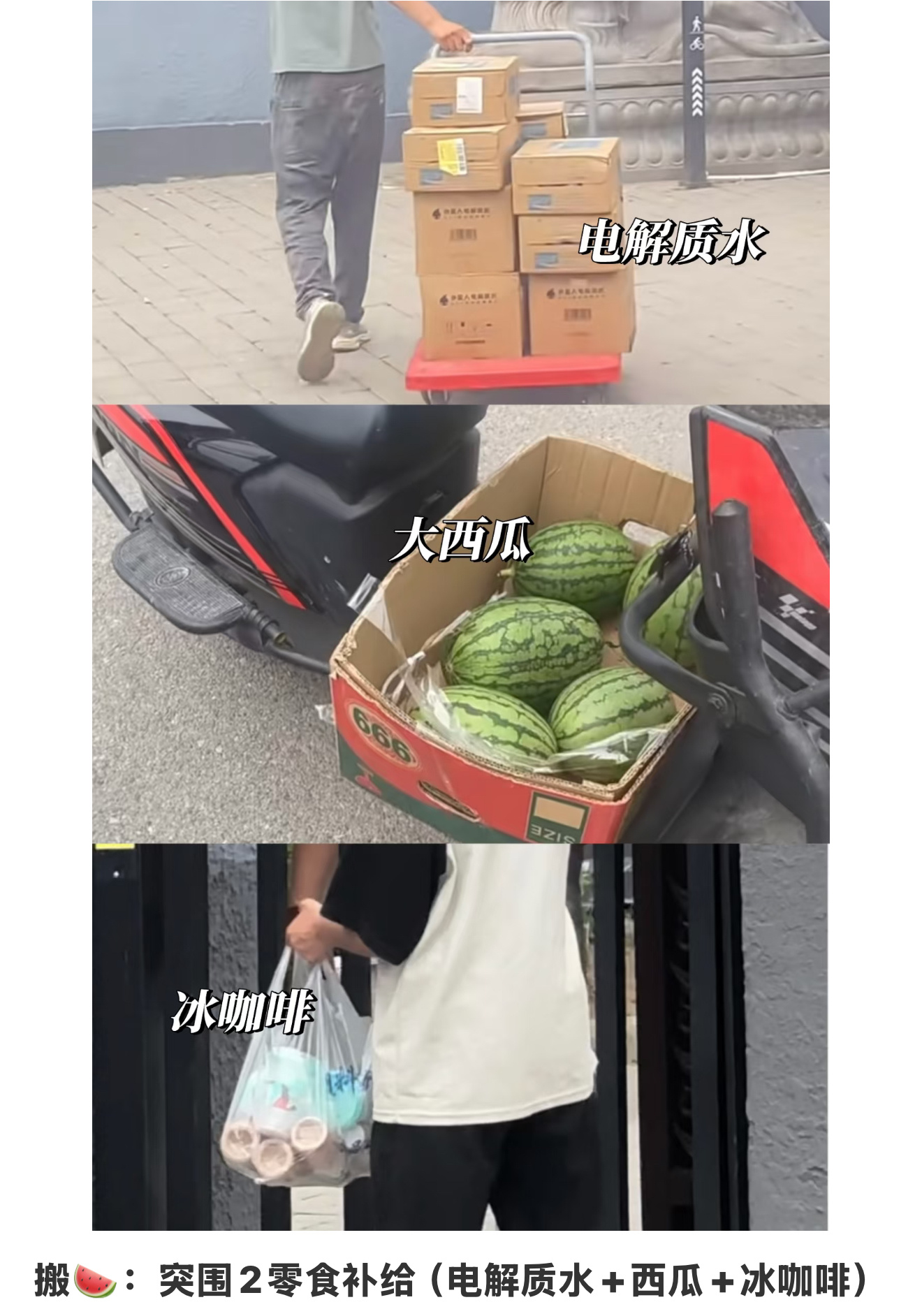 西瓜西瓜西瓜 