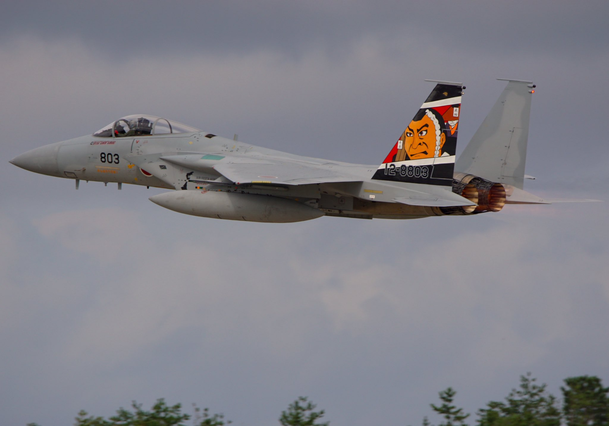 空自 F-15J 803号机 ​​​