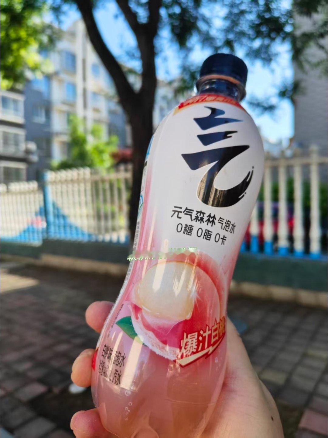 元气森林独木可成林元气森林就是有气儿  被一棵树治愈｜五四青年节，和元气森林一起