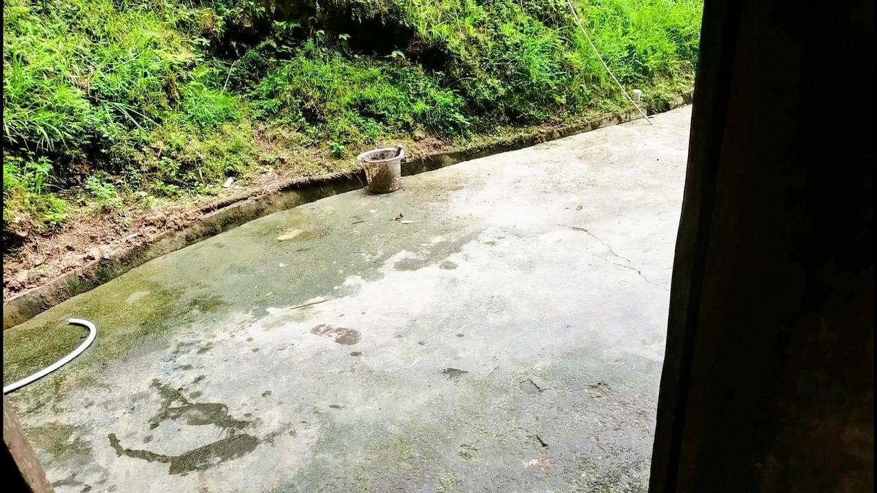 昨天天气预报说今天会下雨，看这个天气不知道会不会下雨。不管他的了，先去地里摘一点
