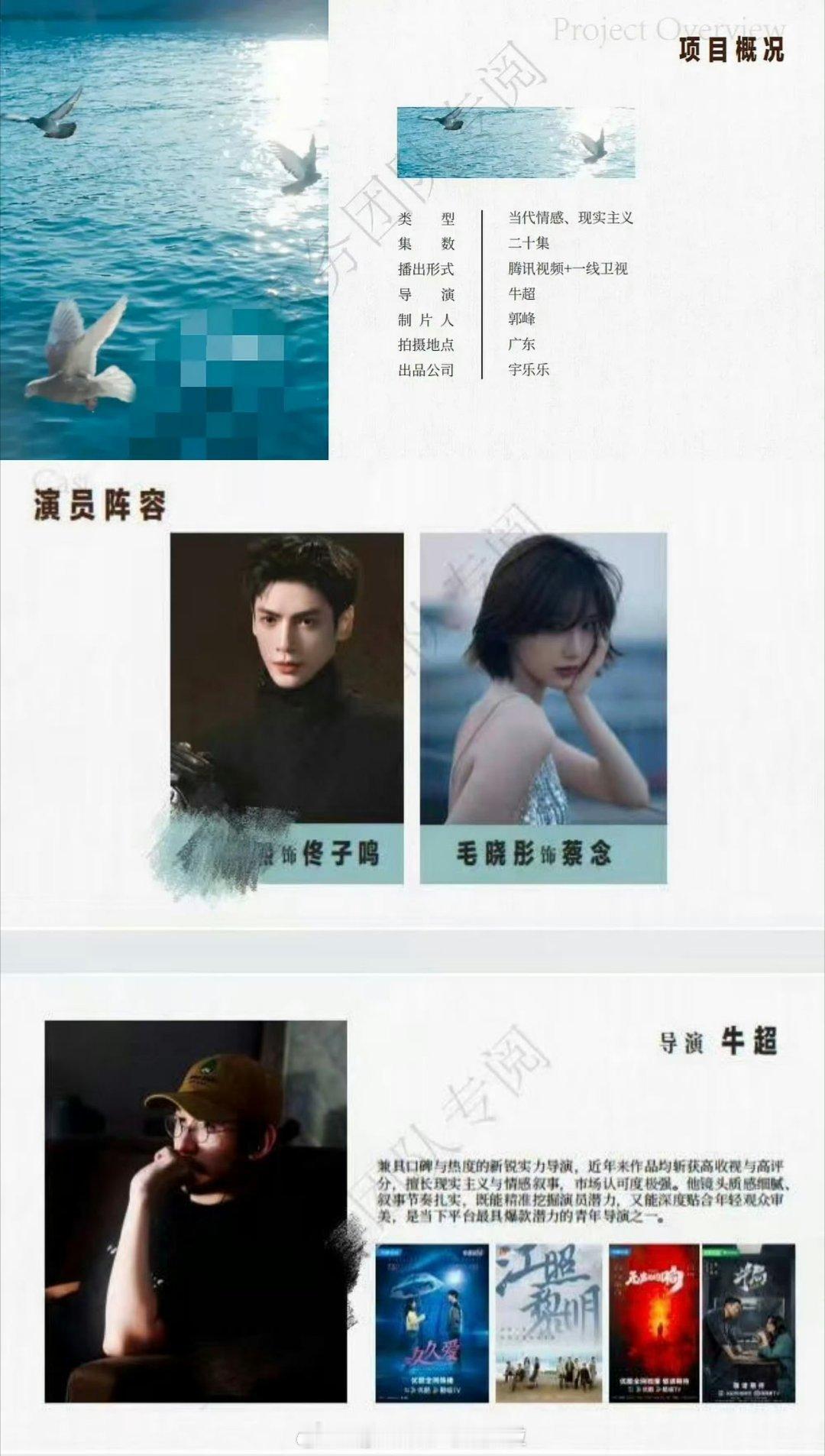 🍉《春日回响》平台要把女主换了，所以男主跑路不拍了之前传的是罗云熙毛晓彤