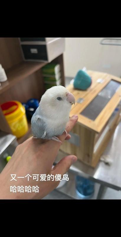安徽一对夫妻，结婚好几年肚子都没动静！
去医院一查，医生哈哈大笑，说他们压根没在
