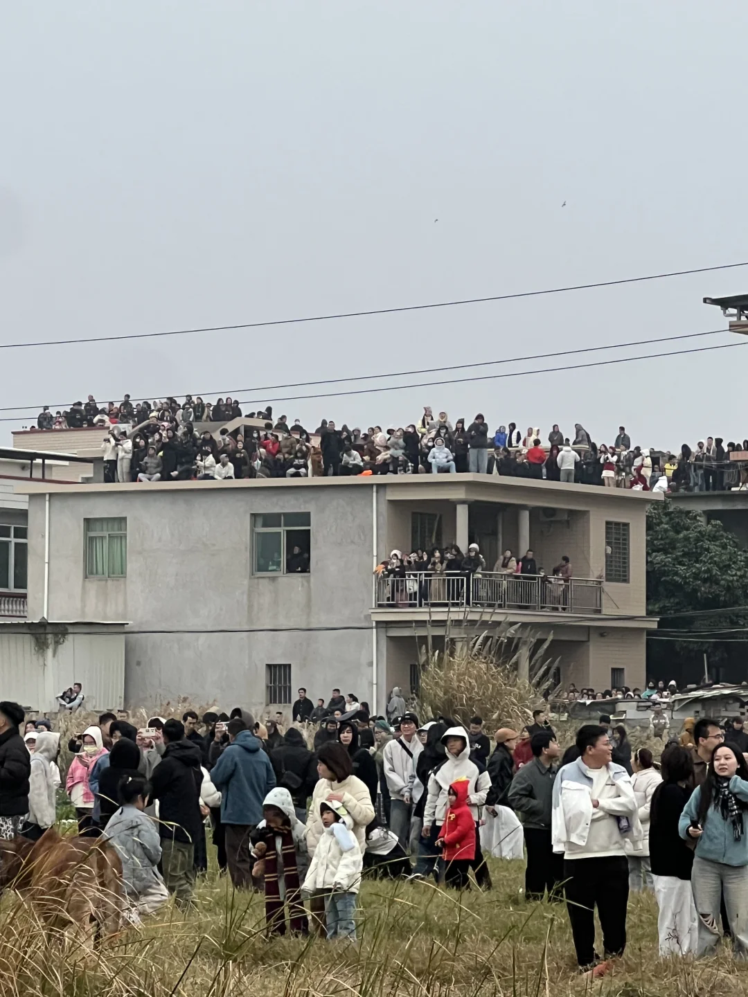 泉州蔡国强烟花踩雷了😭😭😭😭