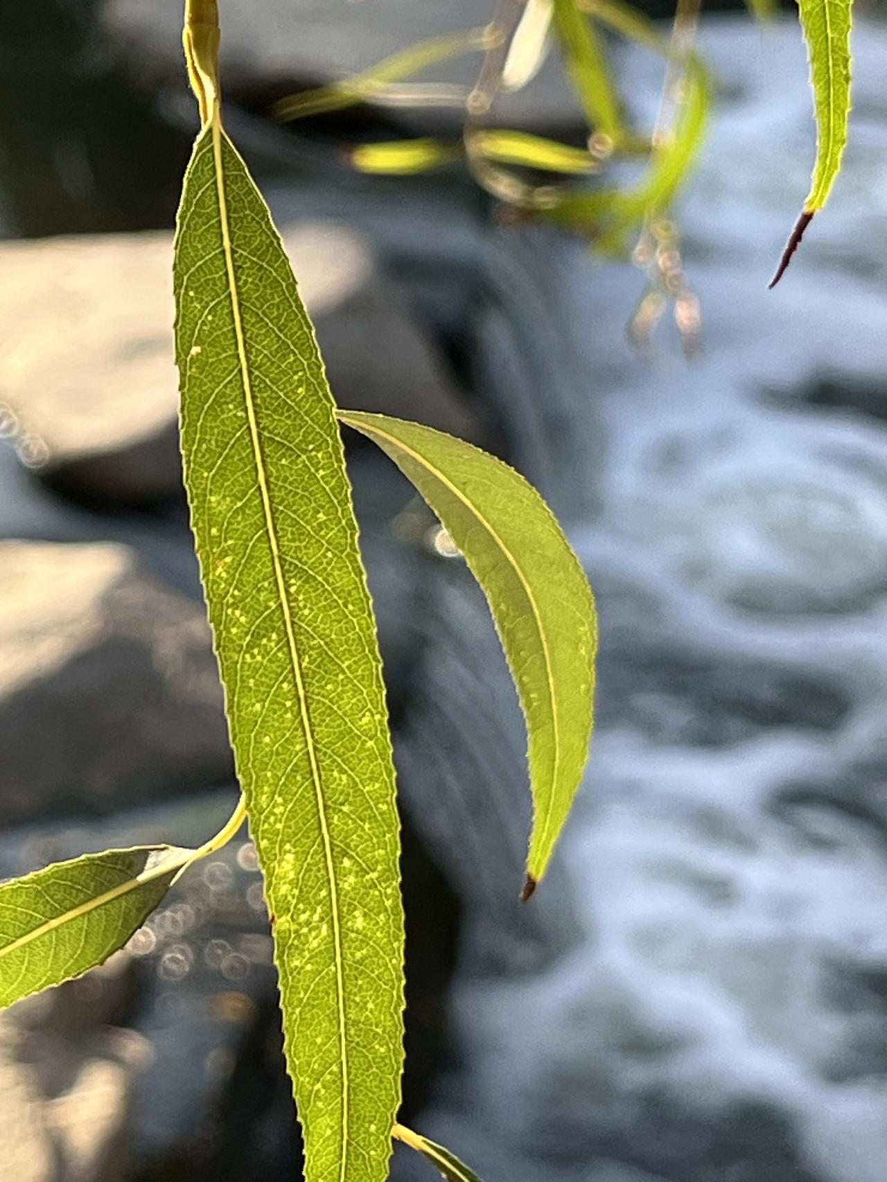 退休后，有必要到处走走看看吗？很多人纠结要不要出门旅游。

外出旅行，不光是看风