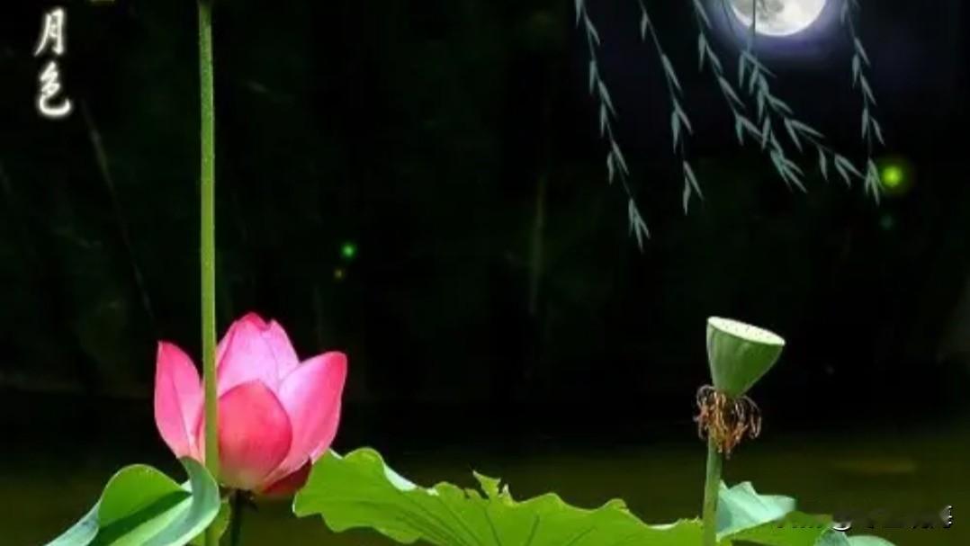 上联：粉莲出水栖蜻翼
下联：红鲤游泳寻蛙趣
这副对联简直太妙啦！“粉莲出水栖蜻翼
