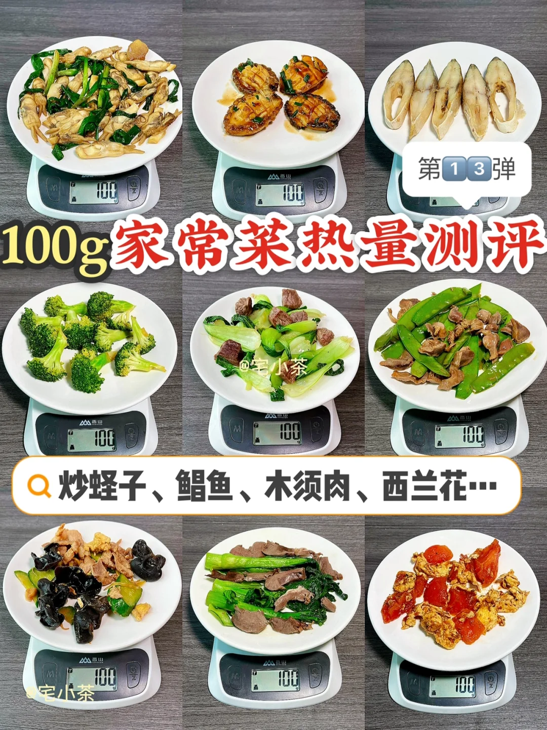 100g家常菜热量测评✅第13弹！炒蛏子、木须肉…