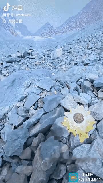 “上人民日报了！”新疆，男子去爬天山，爬到海拔3000米左右时，抬头一看，突然发