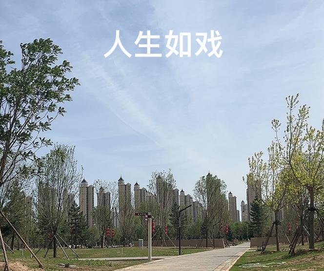 人不能一直紧绷、完美
我们一辈子都在懂事、克制、负责任、迁就别人，上班要体面，做