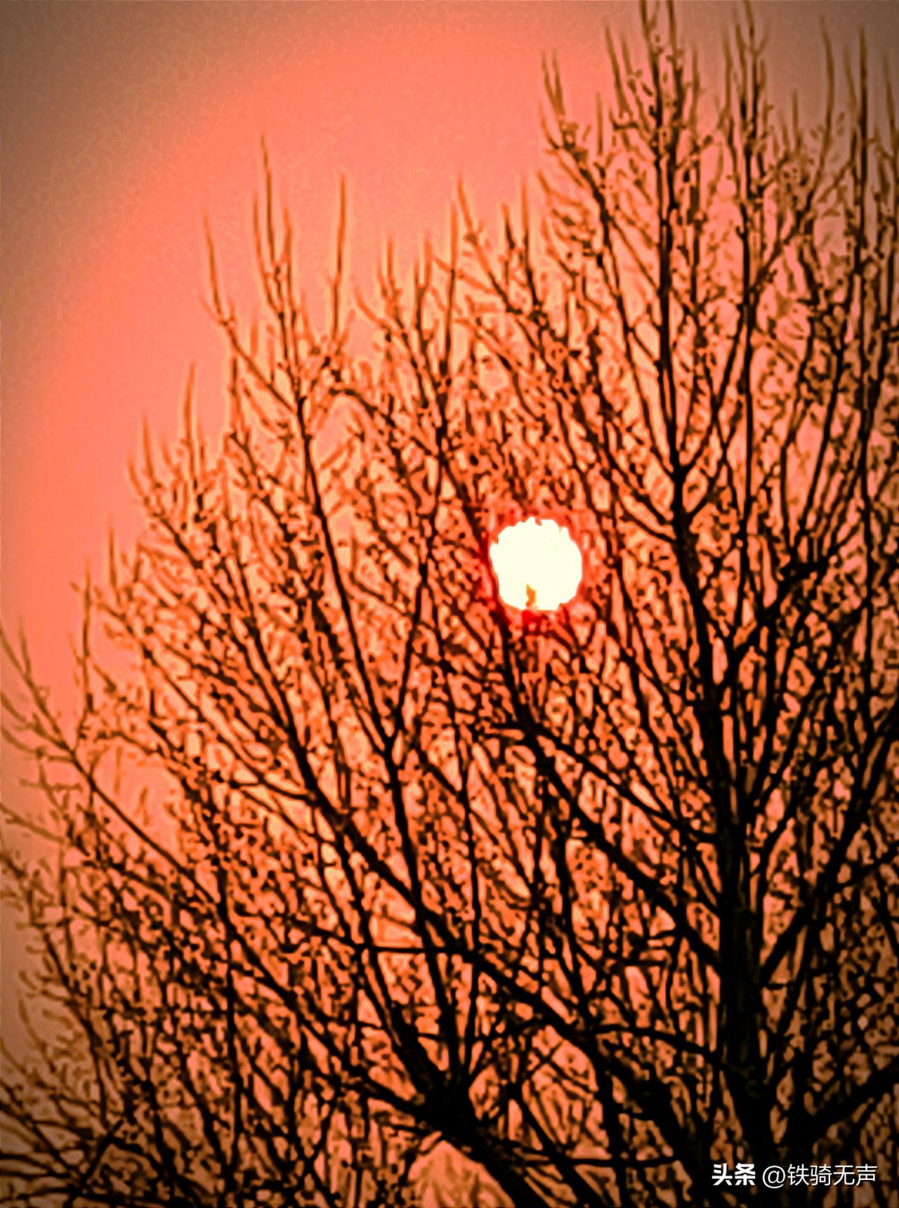 努力过好自己的日子，不要劳心费力地去操心别人家的未来。别人的眼光和智慧，不是你们