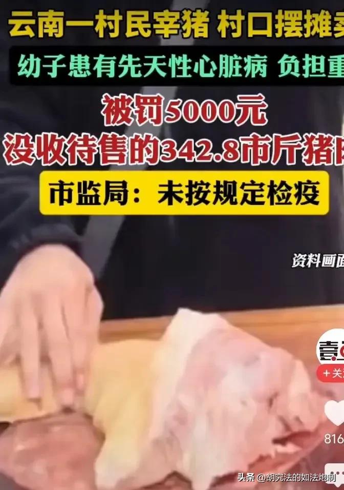 给一条活路吧！云南文山，一女子为了给生病的孩子买药，购买一头毛猪，在家中屠宰后在