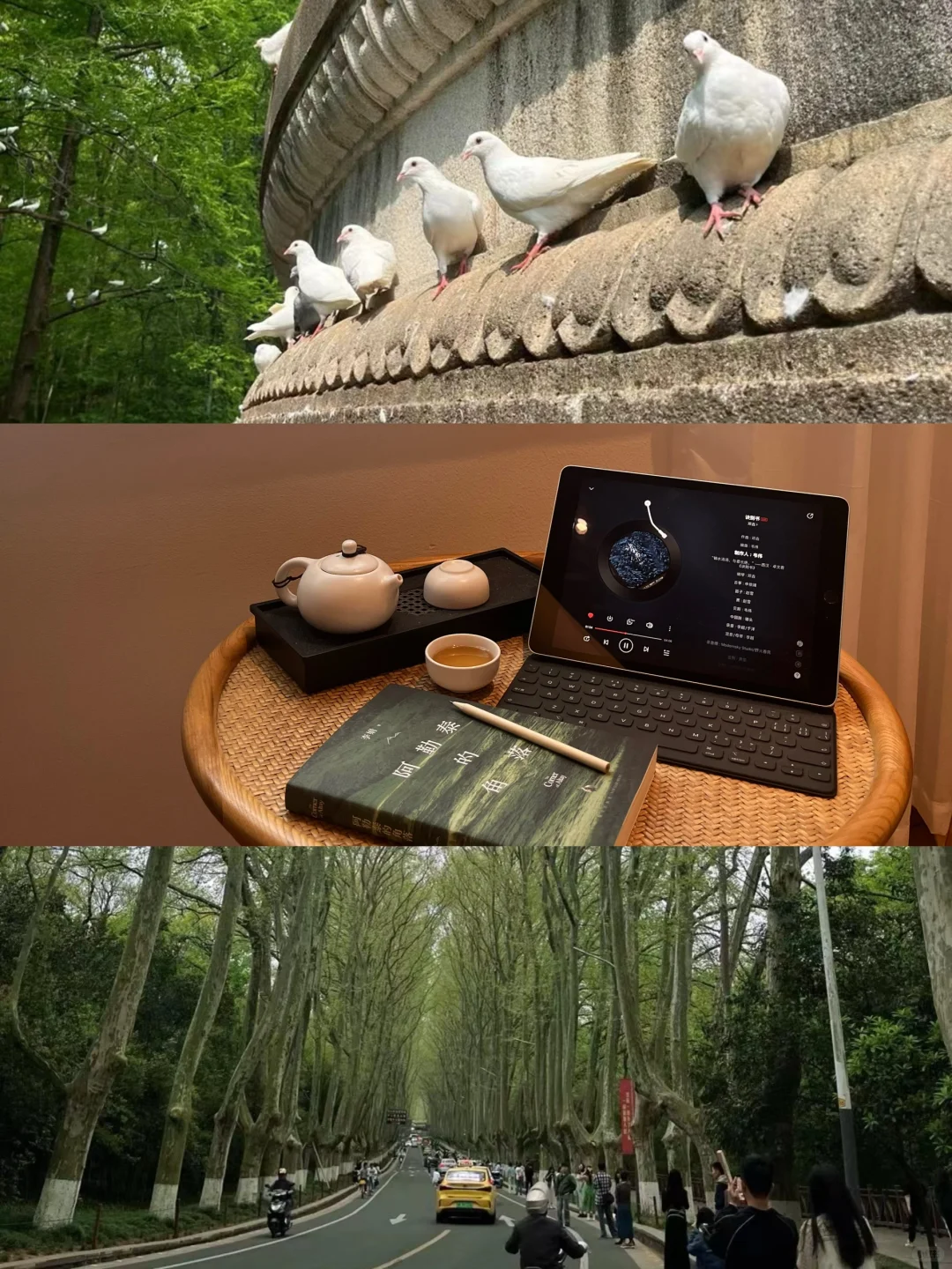 分享13个改变生命磁场，有效提高能量的tips