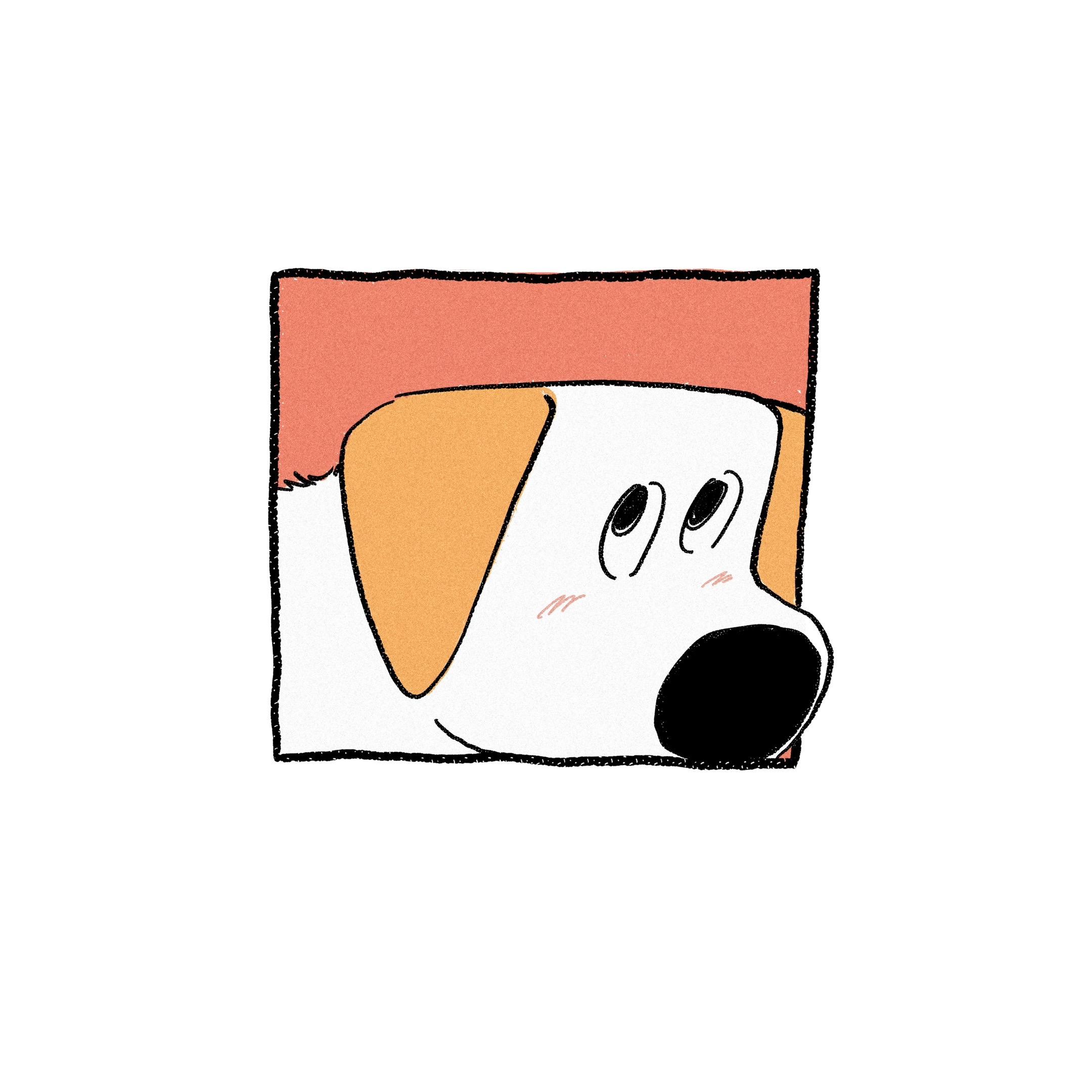 小狗的耳朵。大大的作用