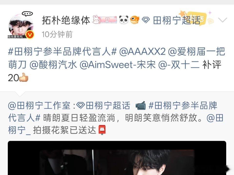 牛椰斗法为什么殃及我 