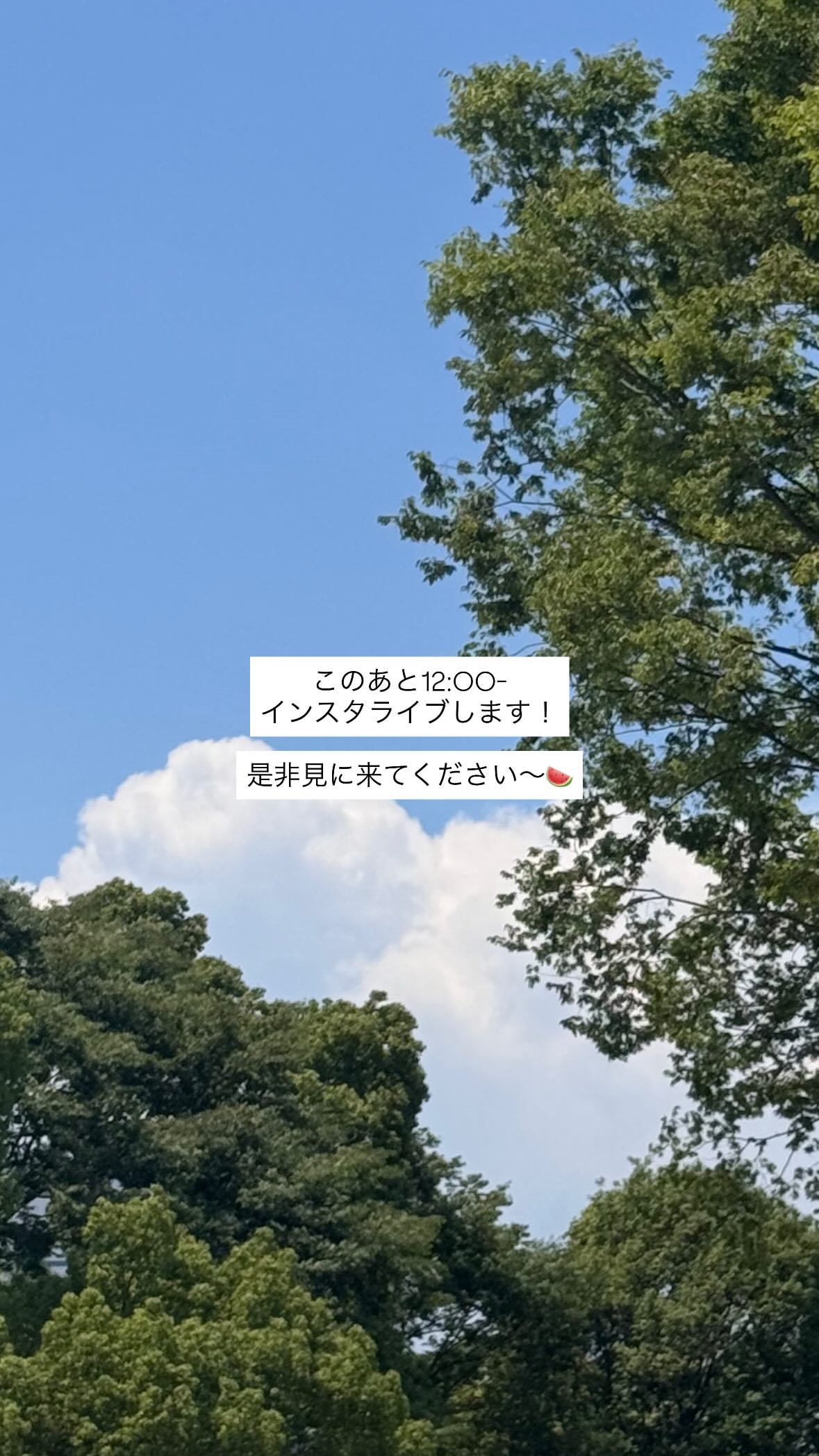 清宮レイ ​​​
